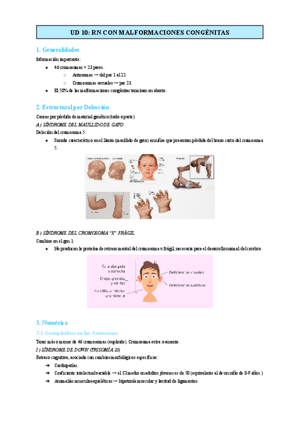 Miniatura del documento UD-10-RN-CON-MALFORMACIONES-CONGENITAS.pdf