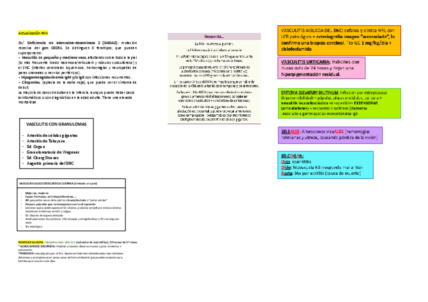 Miniatura del documento Reuma-MIR-VASCULITIS-mega-resumen.pdf
