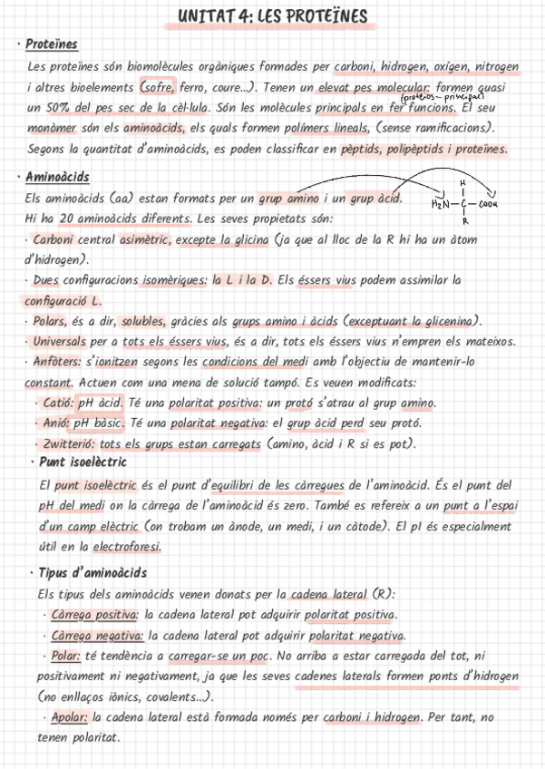 Miniatura del documento Proteines.pdf