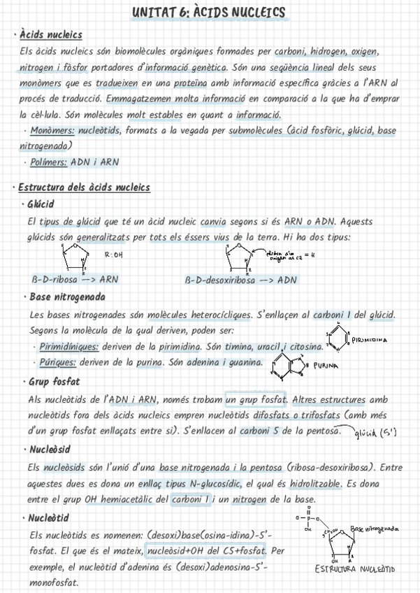 Miniatura del documento Acids-nucleics.pdf