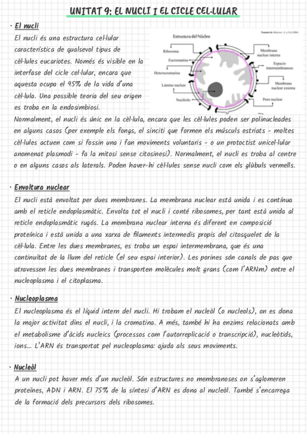Miniatura del documento Nucli-cellular.pdf