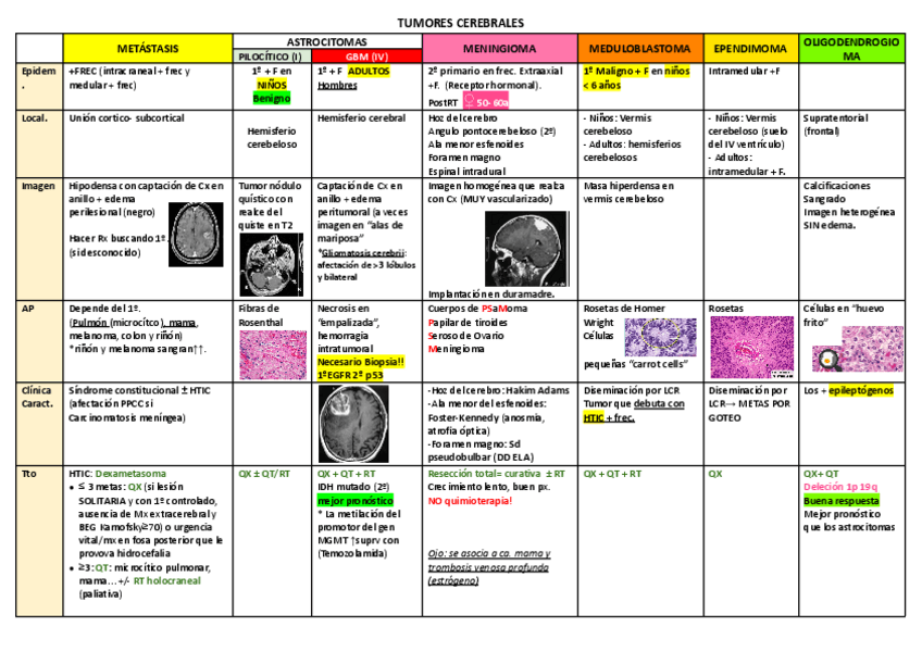 Miniatura del documento TUMORES-CEREBRALES.docx-1.pdf