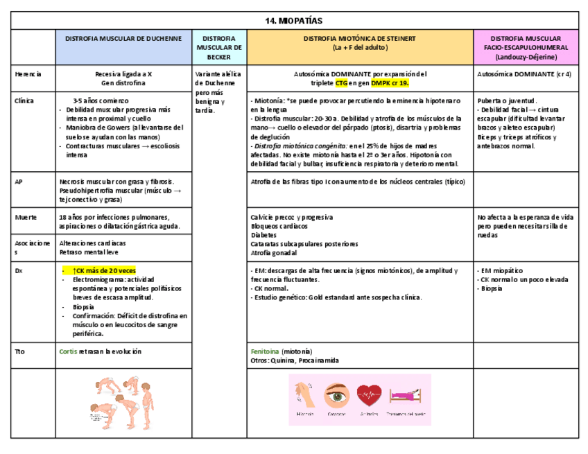 Miniatura del documento 14.-MIOPATIAS.pdf