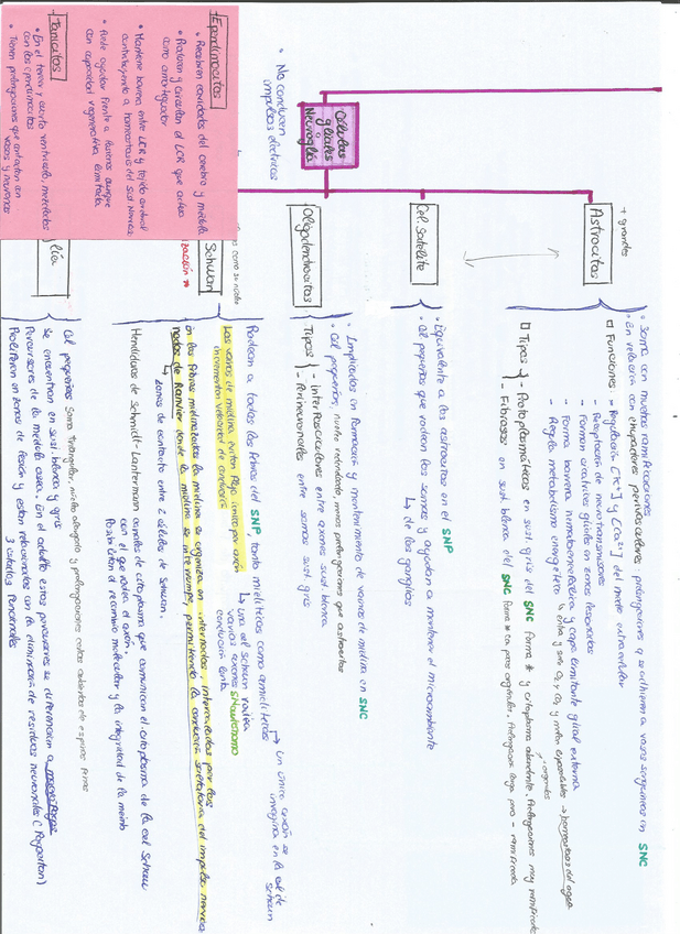 Miniatura del documento esquema-neuronas-1.pdf