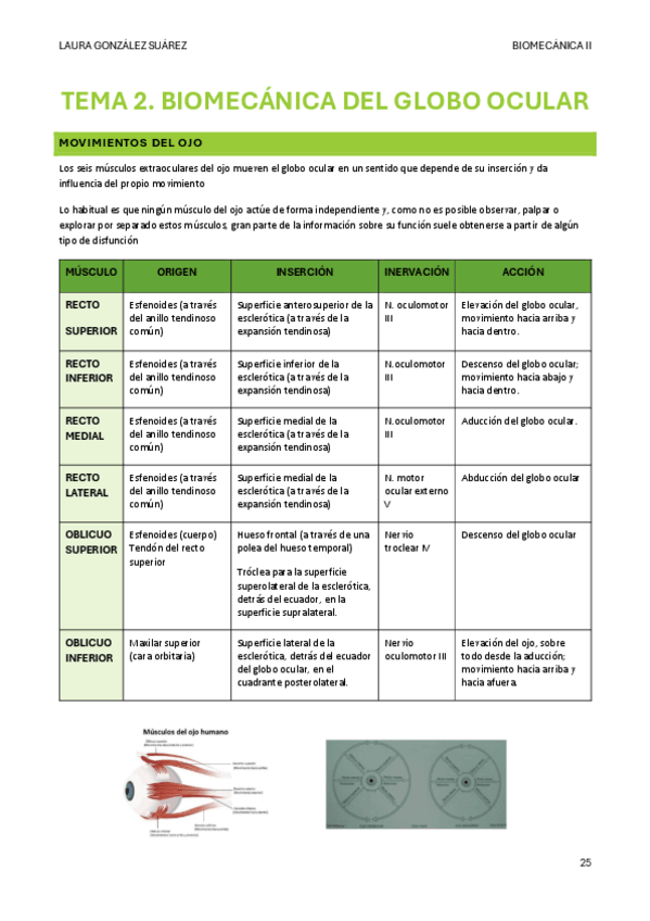 Miniatura del documento TEMA-2.-BIOMECANICA-DEL-GLOBO-OCULAR.pdf