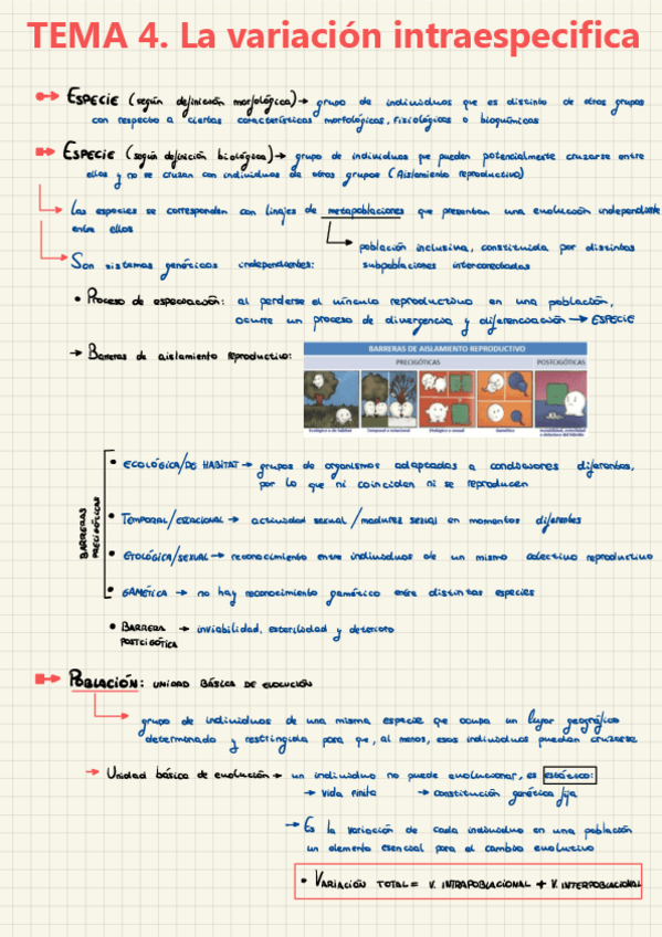 Miniatura del documento CESP-Tema-4.pdf