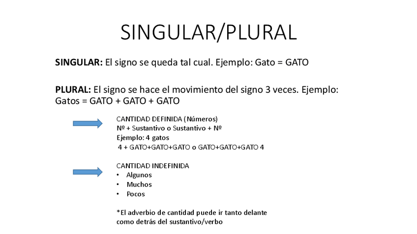 Miniatura del documento SINGULAR-PLURAL-LSE.pdf