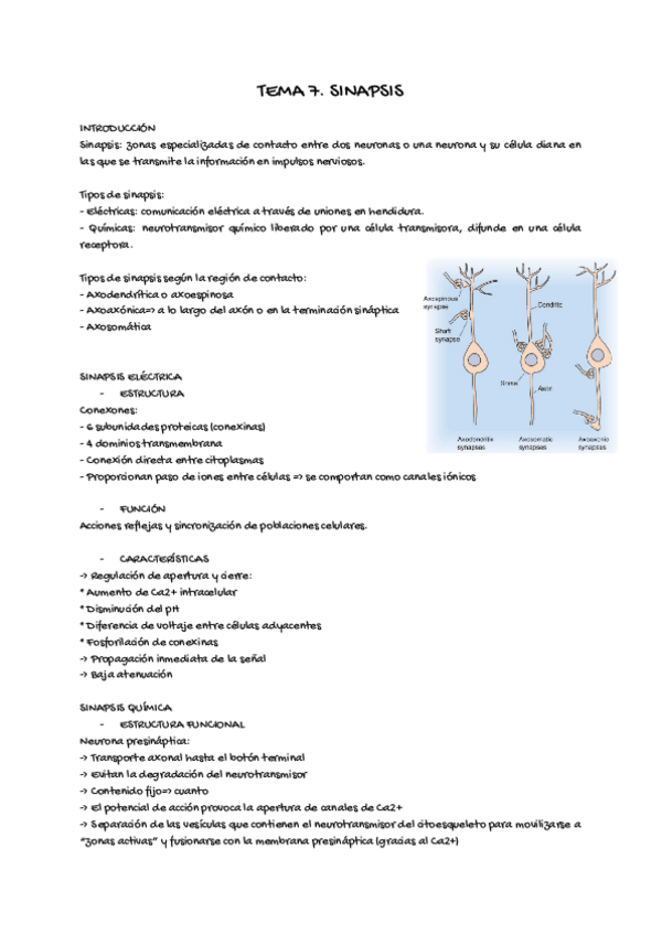 Miniatura del documento fisio7.pdf
