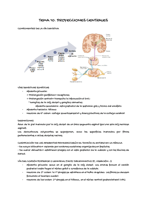 Miniatura del documento fisio10.pdf