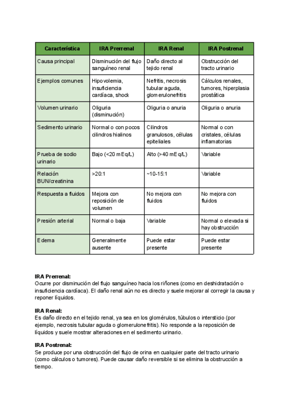 Miniatura del documento IRAs.pdf