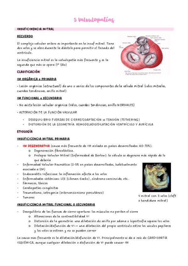 Miniatura del documento 5-Valvulopatias.pdf