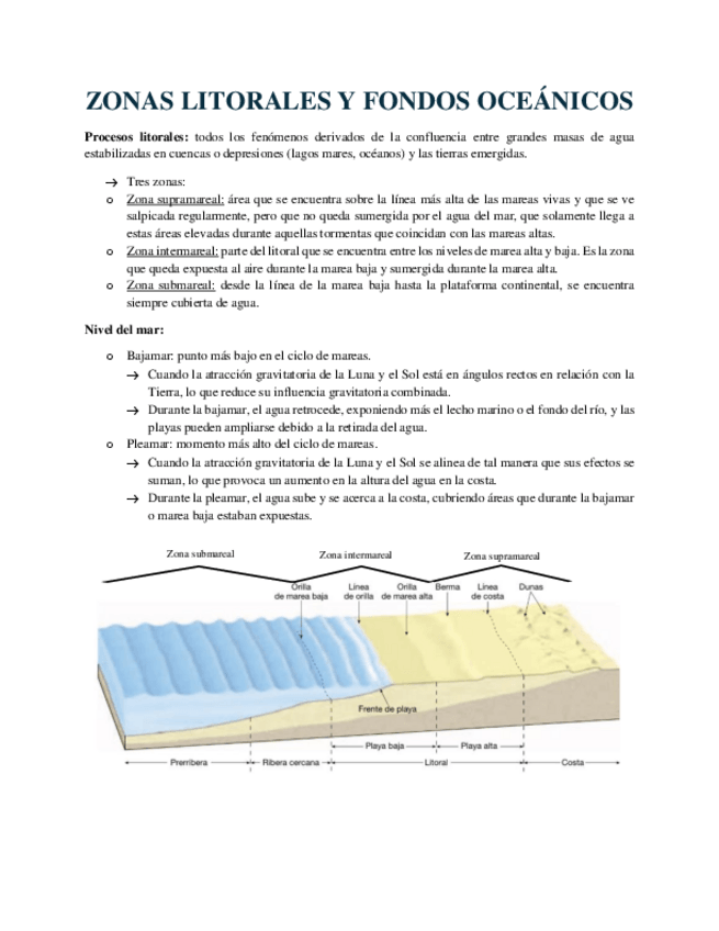 Miniatura del documento UNIDAD-10-MORFOGENESIS-EN-ZONAS-LITORALES-Y-FONDOS-OCEANICOS.pdf