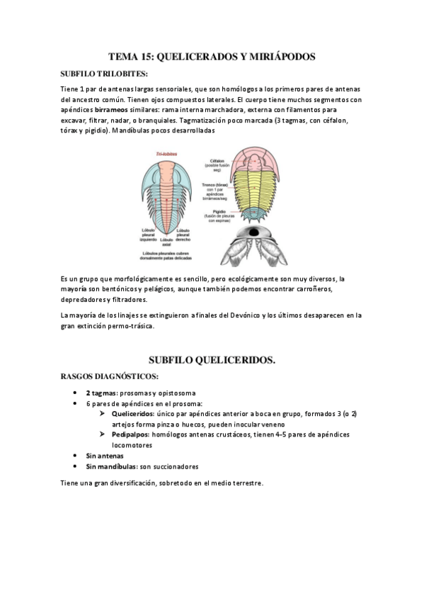 Miniatura del documento TEMA-15.pdf