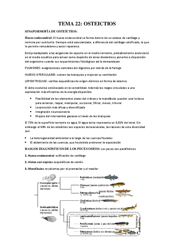 Miniatura del documento TEMA-22.pdf