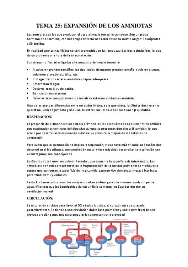 Miniatura del documento TEMA-25.pdf