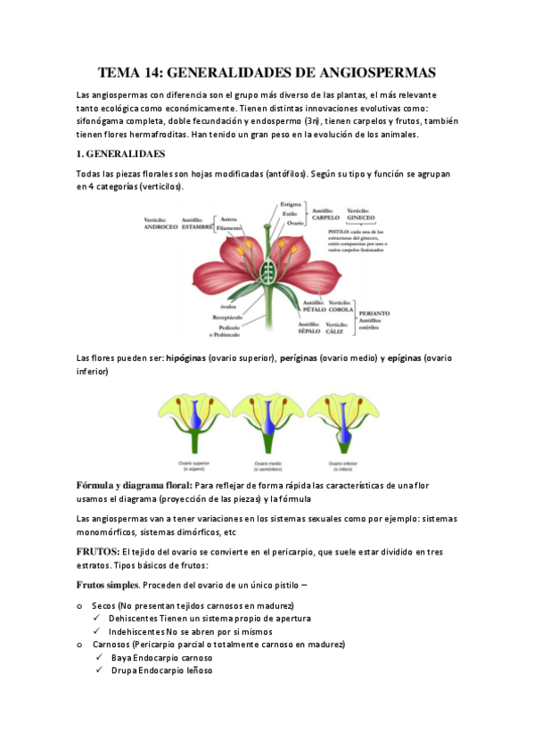Miniatura del documento TEMA-14.pdf