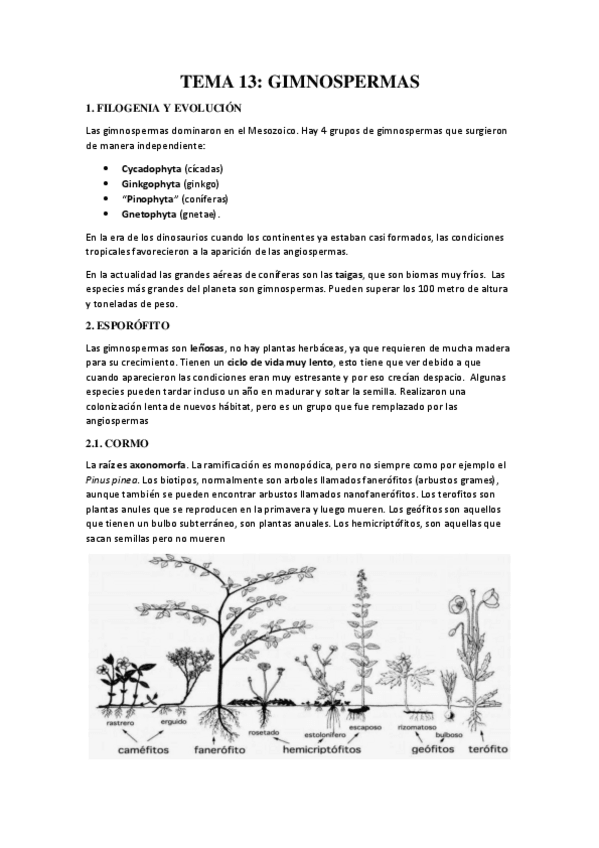 Miniatura del documento TEMA-13.pdf