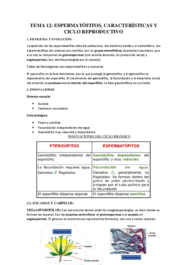 Miniatura del documento TEMA-12.pdf