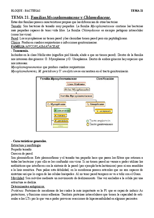 Miniatura del documento T21 - Mycoplasmataceae y Chlamidyaceae.pdf