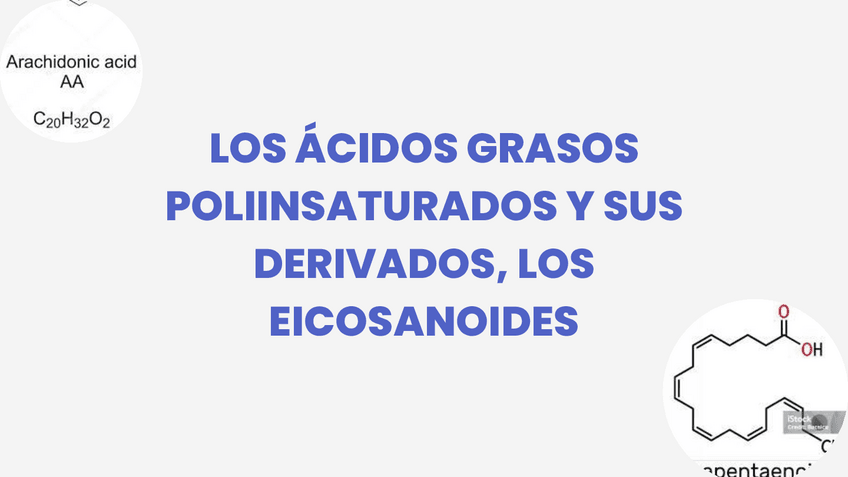 Miniatura del documento los-acidos-grasos-poliinsaturados-y-sus-derivados-los-eicosanoides.pdf