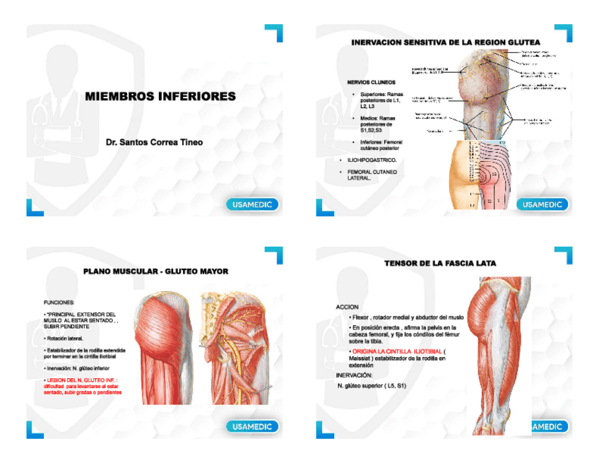 Miniatura del documento Anatomia2USAMEDIC-2x2.pdf