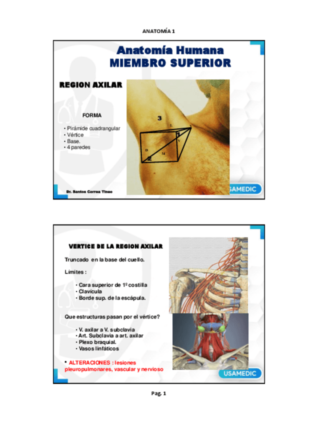 Miniatura del documento Anatomia1USAMEDIC2023.pdf