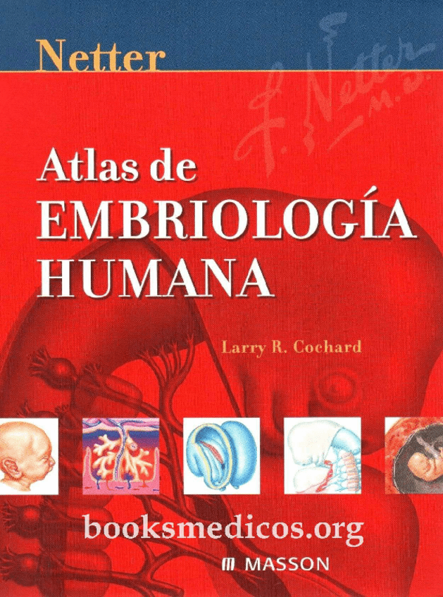 Miniatura del documento NETTER-ATLAS-DE-EMBRIOLOGiA-HUMANA-comprimido.pdf