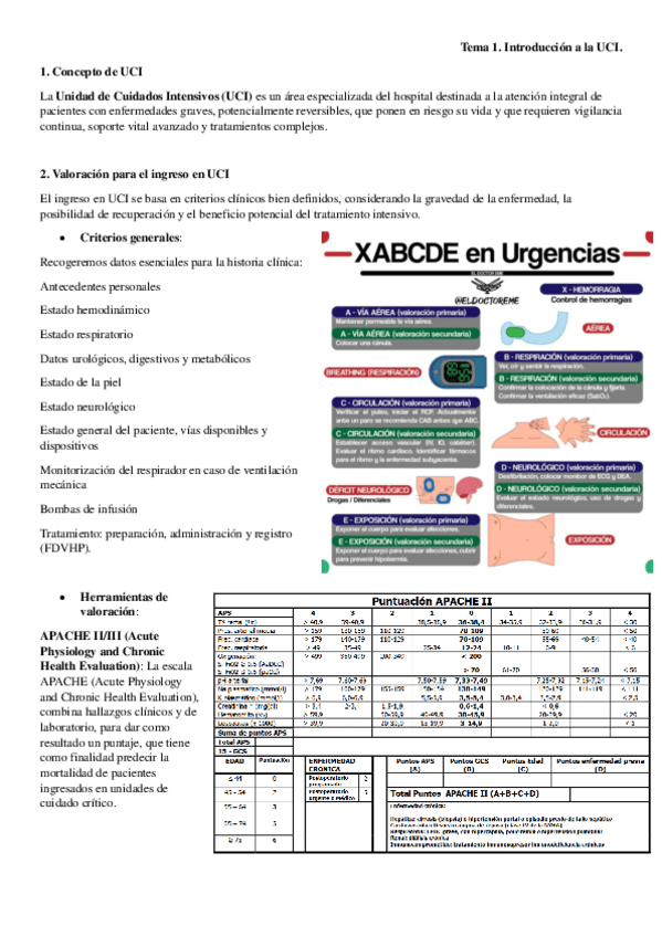 Miniatura del documento 2.-Tema-1-introduccion-a-la-UCI.pdf