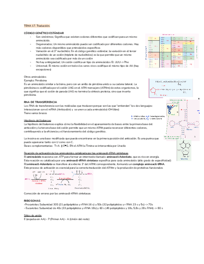 Miniatura del documento TEMA-17-Traduccion.pdf