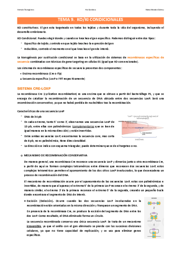 Miniatura del documento Tema-9.-KOKI-Condicionales.pdf