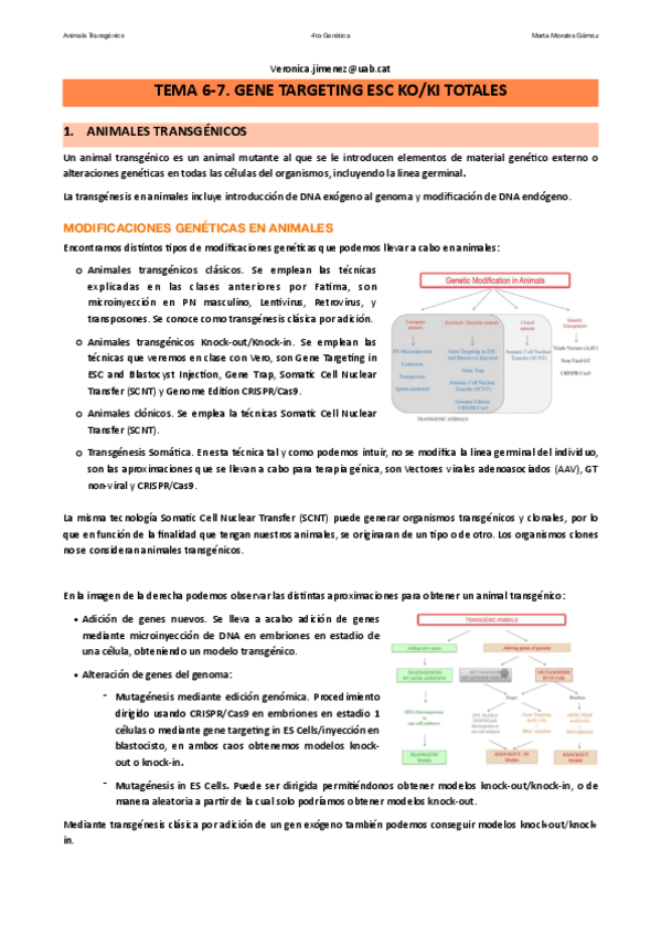 Miniatura del documento Tema-6-8.-Gene-targeting-ESC-KOKI-totales.pdf