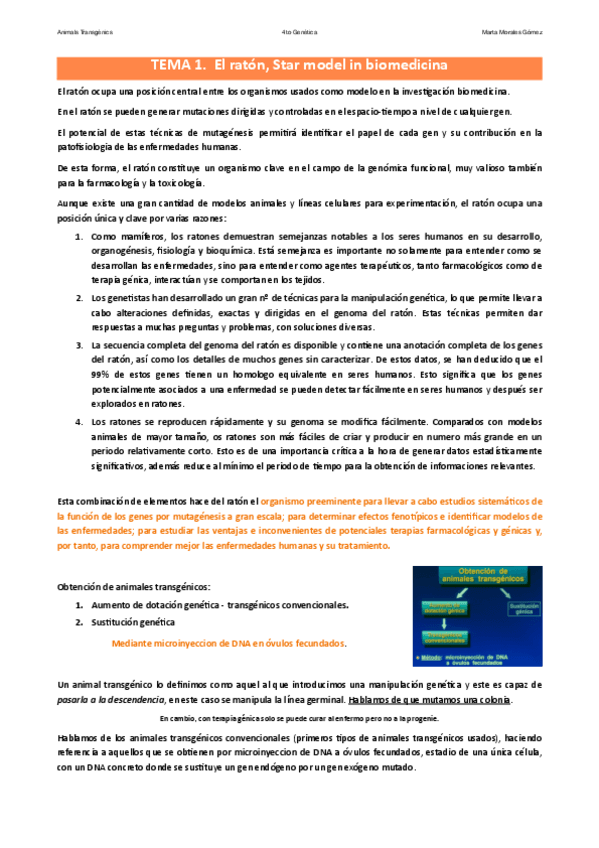 Miniatura del documento Tema-1.-El-raton-modelo-en-biomedicina.pdf