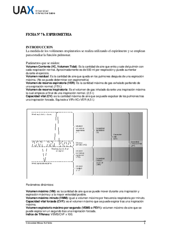 Miniatura del documento FICHA-7b-Espirometria-fisio.pdf