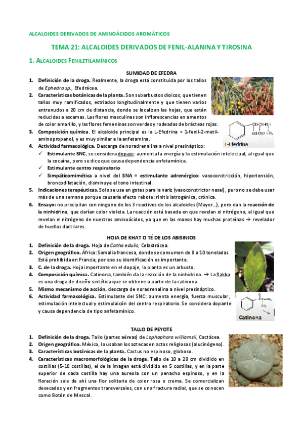 Miniatura del documento TEMA 21 farmacognosia.pdf