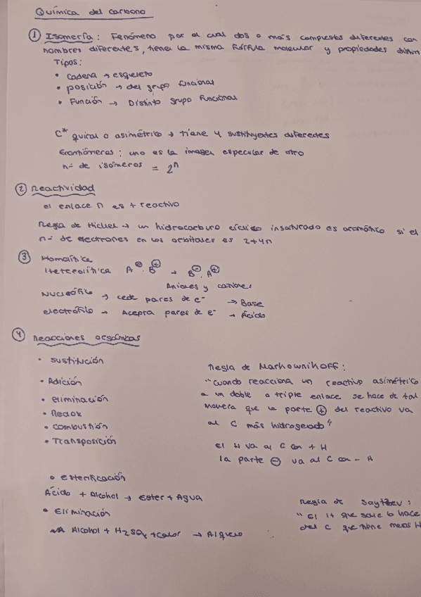 Miniatura del documento Quimica-del-carbono.pdf
