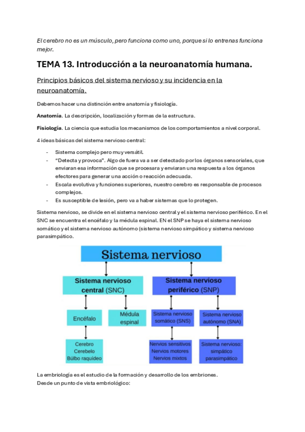Miniatura del documento TEMA-13.-Introduccion-a-la-neuroanatomia-humana..pdf