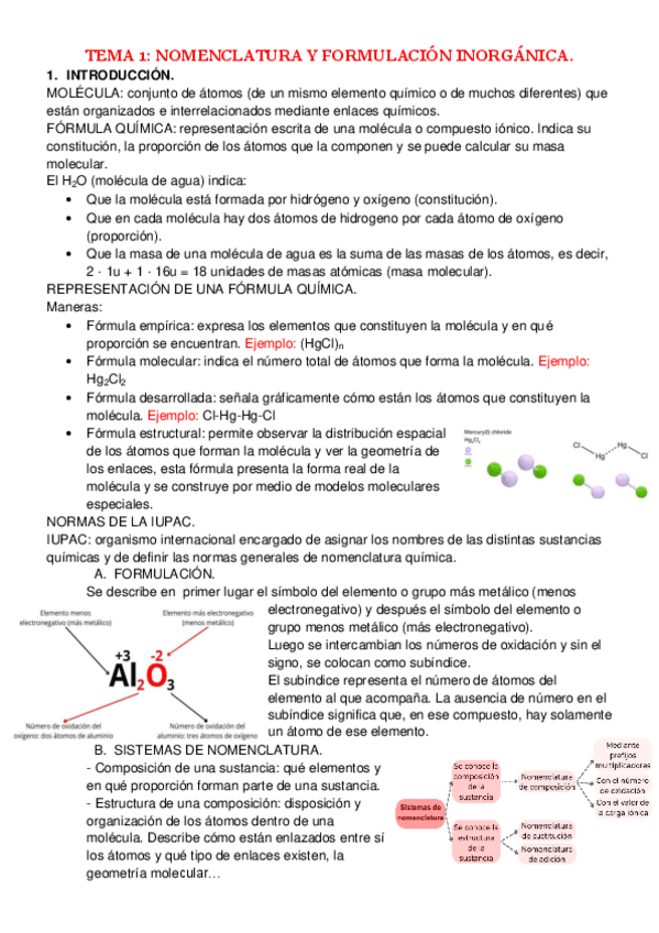 Miniatura del documento Tema-1.-Nomenclatura-y-formulacion-inorganica.pdf