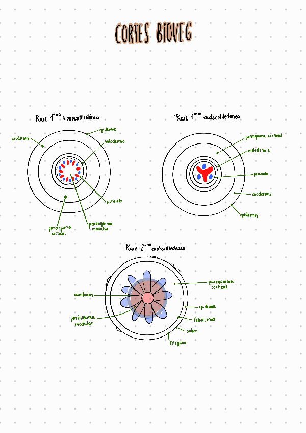 Miniatura del documento apuntes-examen-de-practicas.pdf
