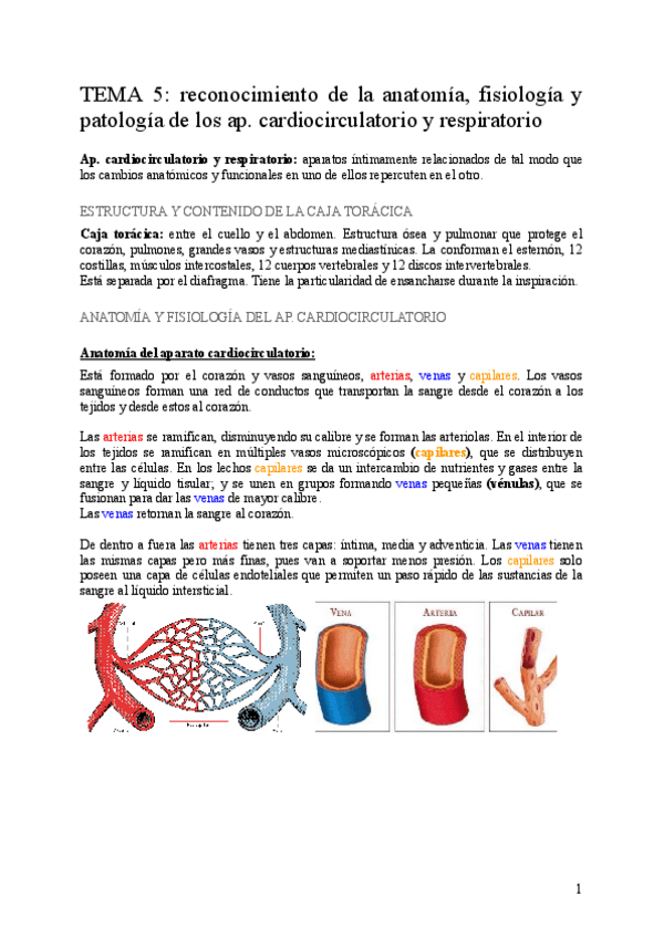 Miniatura del documento AI-tema-5.pdf