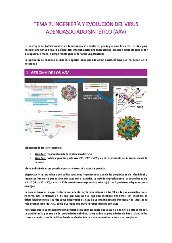 Miniatura del documento TEMA-7.-INGENIERIA-Y-EVOLUCION-DEL-VIRUS-ADENOASOCIADO-SINTETICO-AAV.pdf