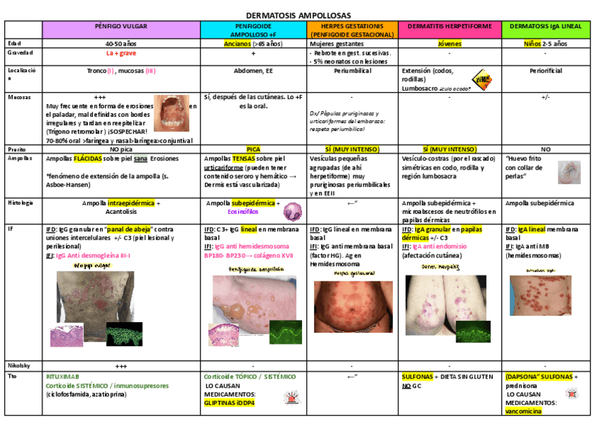 Miniatura del documento DERMATOSIS-AMPOLLOSAS.pdf