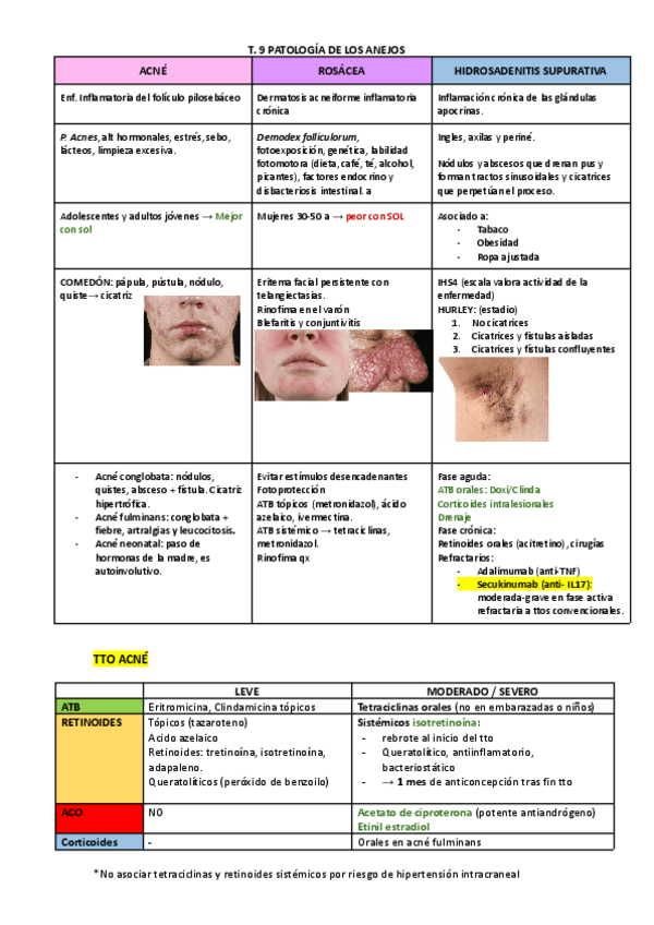 Miniatura del documento ACNE-Y-PATOLOGIA-DE-LOS-ANEJOS.pdf
