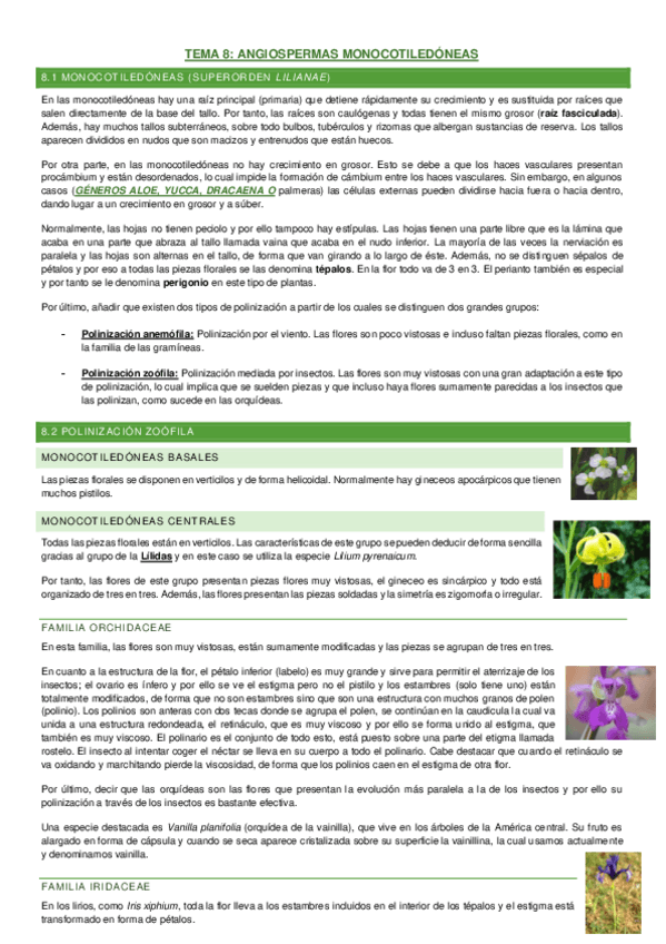 Miniatura del documento LIMPIO8MONOCOTILEDONEAS.pdf