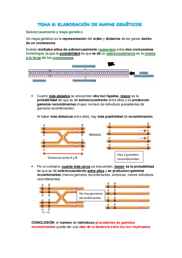 Miniatura del documento TEMA-6-GENETICA.pdf