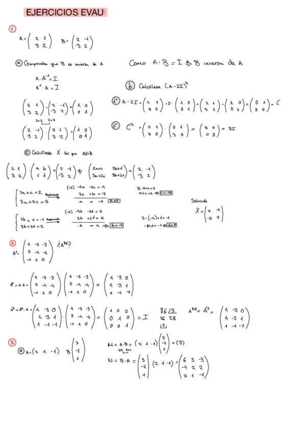 Miniatura del documento matrices-ejercicios.pdf