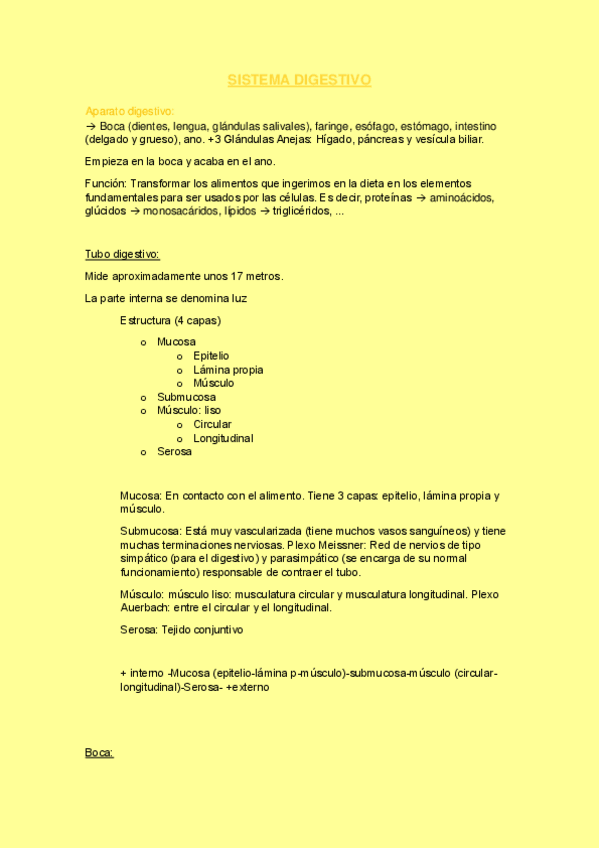 Miniatura del documento ANATOMIA-SISTEMA-DIGESTIVO.pdf