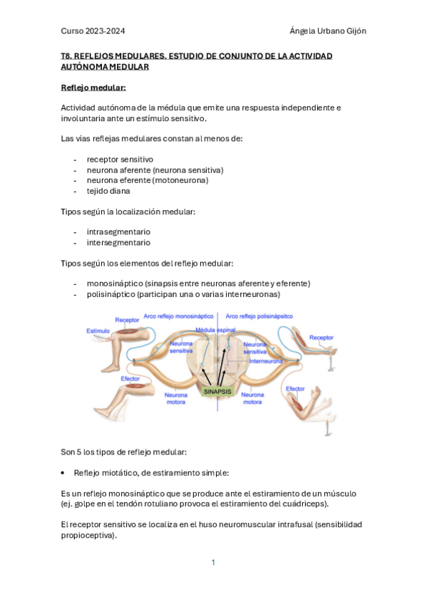 Miniatura del documento T8-AHII.pdf
