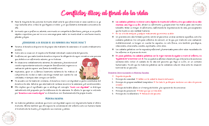 Miniatura del documento Conflictos-eticos-al-final-de-la-vida.pdf