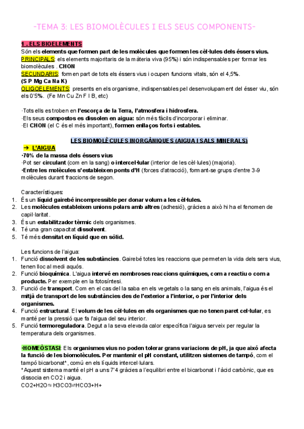 Miniatura del documento BIO-1-BAT-LES-BIOMOLECULES.pdf