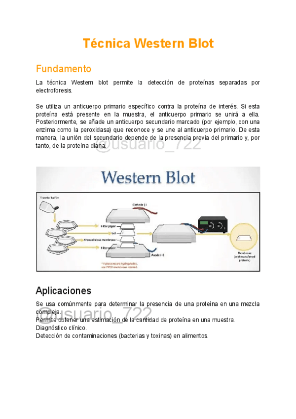 Miniatura del documento Apuntes-TEMA-5TecnicaWesternBlot.pdf